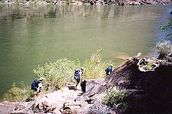Along the River