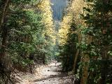 Pipeline Road
