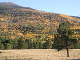 North Side of San Francisco Peaks