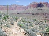Tonto Platform