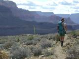 Strolling Along the Tonto
