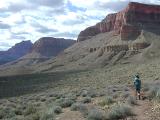 Tonto Views