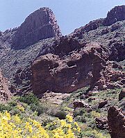 the 'Crying Dinosaur'