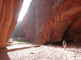 Enter the Buckskin