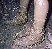 Muddy Feet