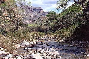 Randolph Creek at Reeds Water
