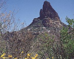 Weavers Needle