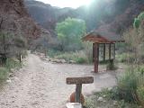 Trail Junction