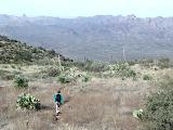 Summit Plateau
