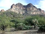 Picketpost Mt.