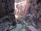 Bright Angel Gorge