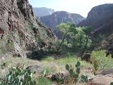 Phantom Ranch