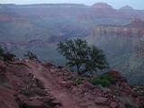Kaibab Evening