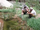 Filtering water