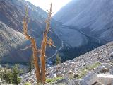 Pine Creek Canyon