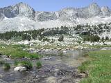 Meadow