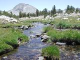 Meadow