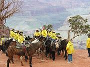 Riders