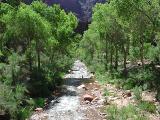 Bright Angel Creek