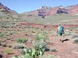 Across Utah Flats