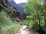 Trail