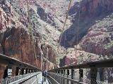 Up the Kaibab