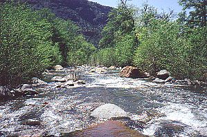 West Clear Creek